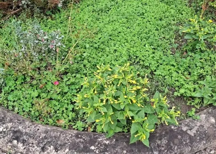 Vitarelles Habitación en casa particular *