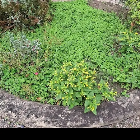 Vitarelles ホームステイ *